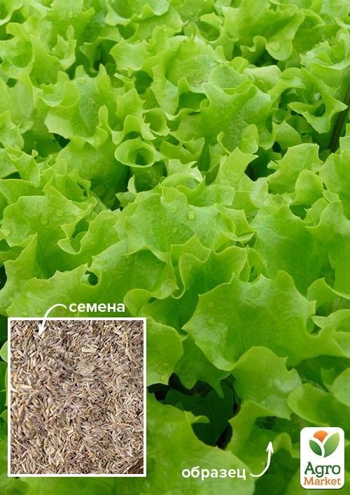 Салат "Абракадабра" ТМ "Весна" 100г