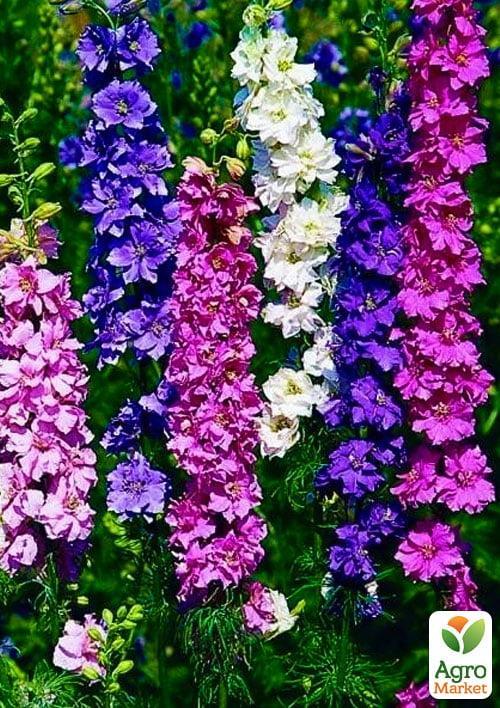 Дельфініум "Однорічний" (Зипер) ТМ "Весна" 1г - фото 3