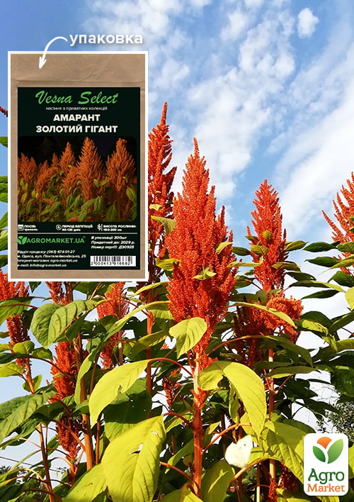 Амарант "Золотой гигант" ТМ "Vesna Select" 300шт