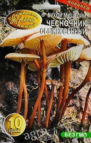 Сухой мицелий "Чесночник обыкновенный" ТМ "Алекс SEEDS" 10г