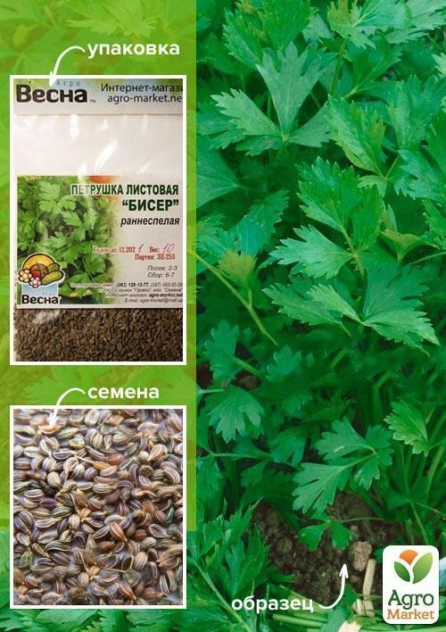 Петрушка "Бісер" (Зипер) ТМ "Весна" 7г