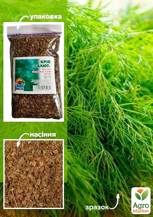 Укроп "Салют" ТМ "Весна" 100г