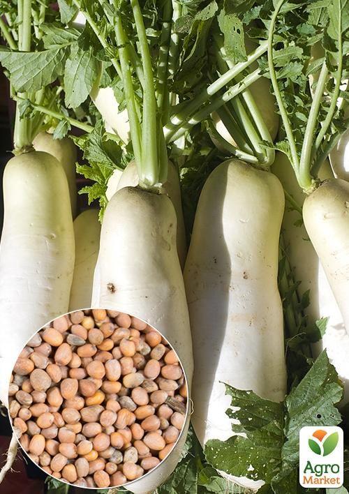 На вагу Редька "Лебідка" ТМ "Весна" ціна за 15г