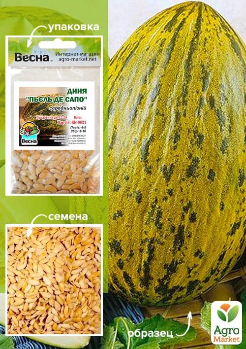 Дыня "Пьель де Сапо" (Зипер) ТМ "Весна" 3г
