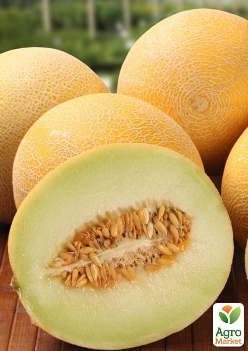 Дыня "Леся" (в банке) ТМ "Весна Органик" 25г