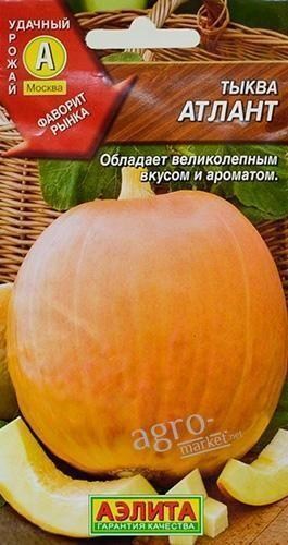 Гарбуз "Атлант" ТМ "АЕЛІТА" 2г