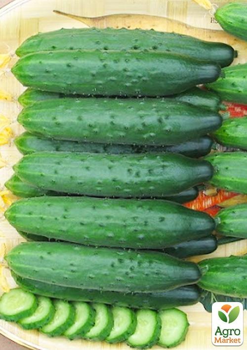 Огурец "Секрет" (в банке) ТМ "Весна Органик" 2г