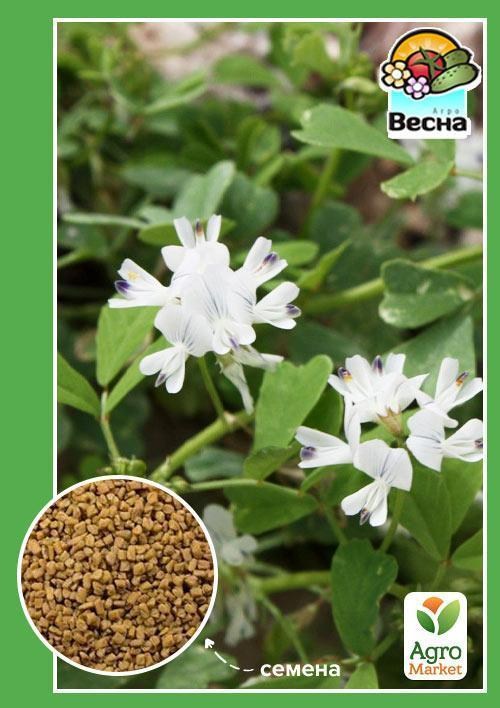 Грибна трава ТМ "Весна" 0.5г