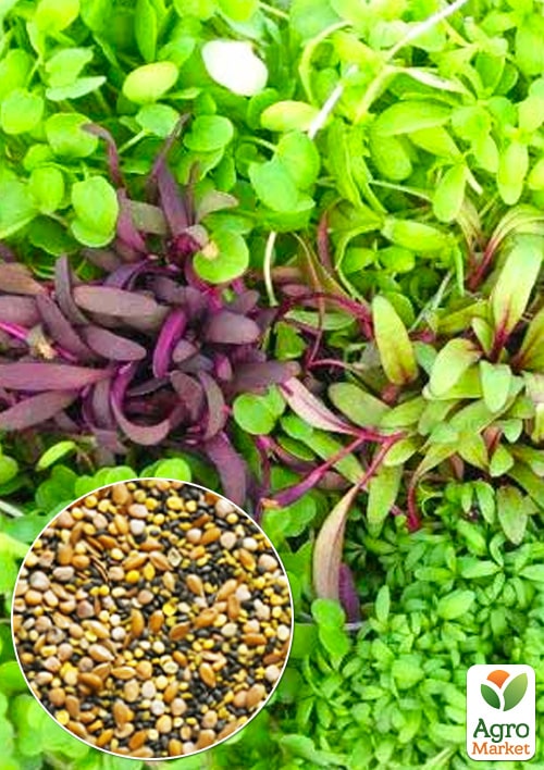 На вагу мікрозелень "Суміш" ТМ "Весна" ціна за 20г