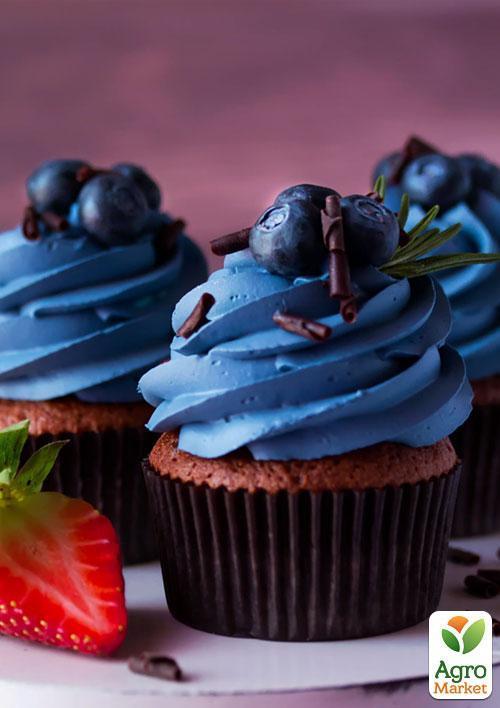 Голубика (черника садовая) "Нельсон" (Nelson) (поздний срок созревания, один из крупноплодных сортов) - фото 5