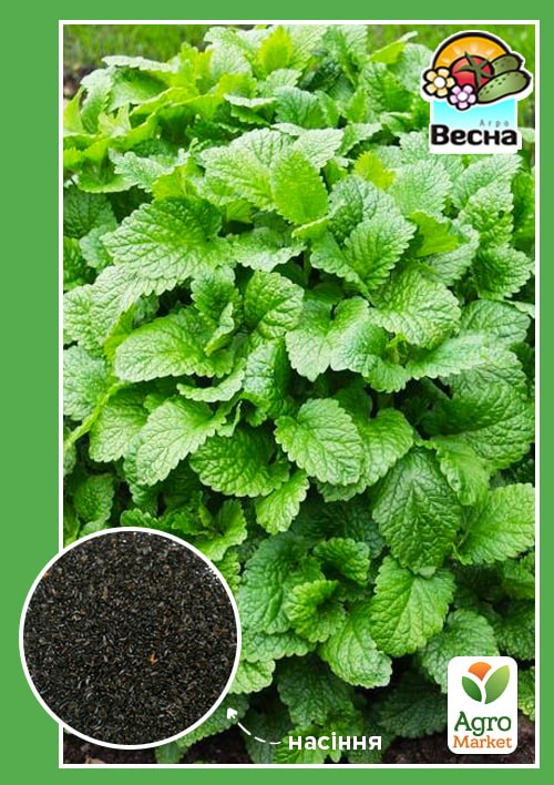 Меліса "Лімонна" ТМ "Весна" 100г