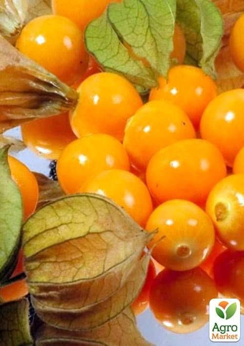 Фізаліс (Зипер) ТМ "Весна" 0.5г - фото 3