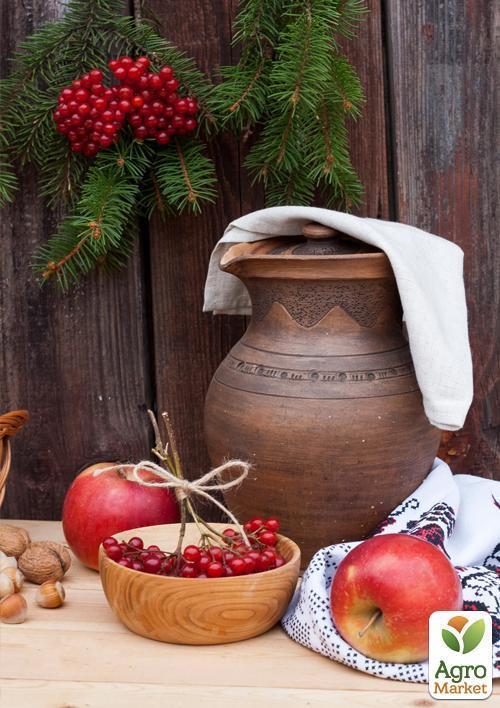 Яблуня "Катерина" (зимовий сорт, пізній термін дозрівання) - фото 5