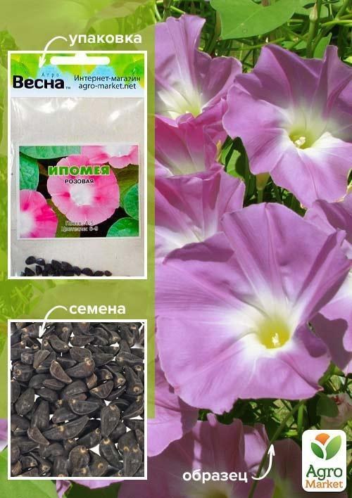 Іпомея "Рожева" (Зипер) ТМ "Весна" 1г