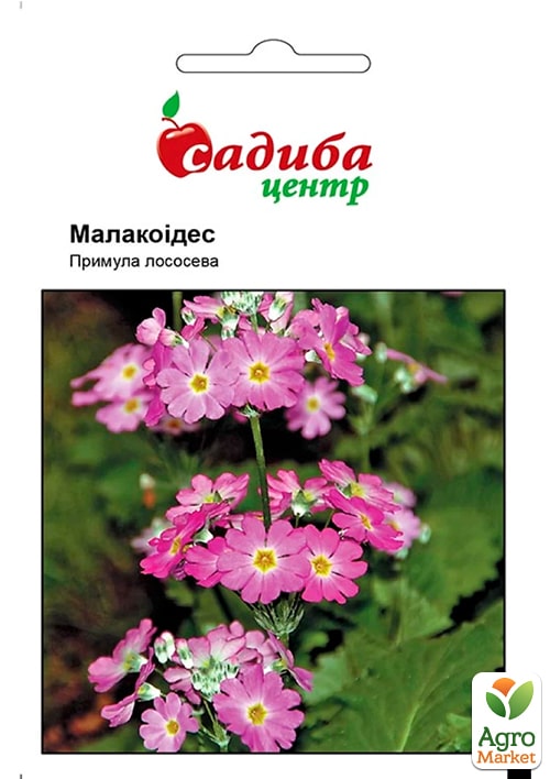 Примула "Малакоідес лососева" ТМ "Садиба центр" 0.01г
