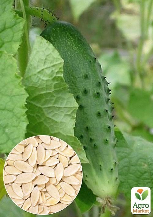 На развес Огурец "Соловей F1" ТМ "Весна" цена за 4г