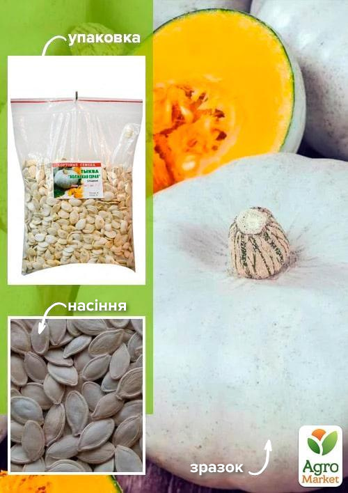 Тыква "Волжская серая" ТМ "Весна" 500г