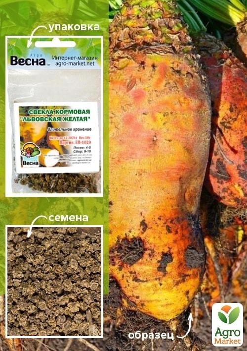 Буряк кормовий "Львівський жовтий" (Зипер) ТМ "Весна" 10г