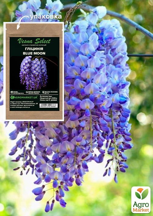 Глициния "Blue Moon" ТМ "Vesna Select" 3шт