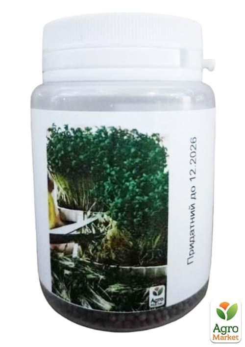 Мікрозелень "Брокколі" (у банці) ТМ "Твоя Зелена Весна" 2,5г - фото 2