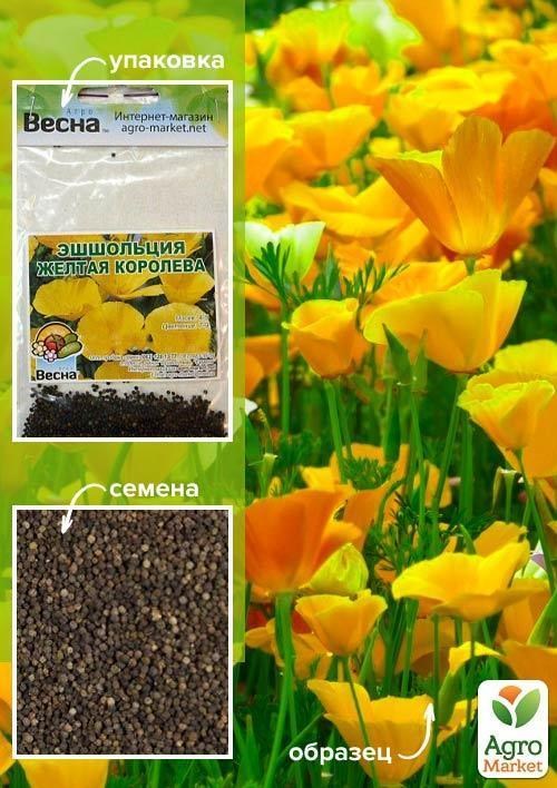 Ешшольція "Жовта королева" (Зипер) ТМ "Весна" 1г