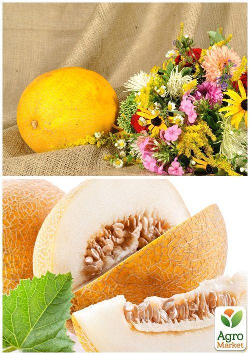 На развес Дыня "Ранняя-133" ТМ "Весна" цена за 6г - фото 3