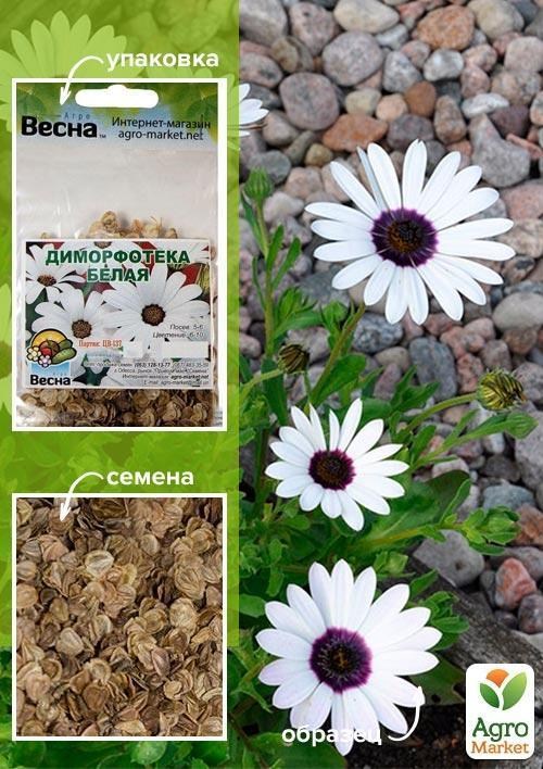 Диморфотека "Белая" (Зипер) ТМ "Весна" 1г