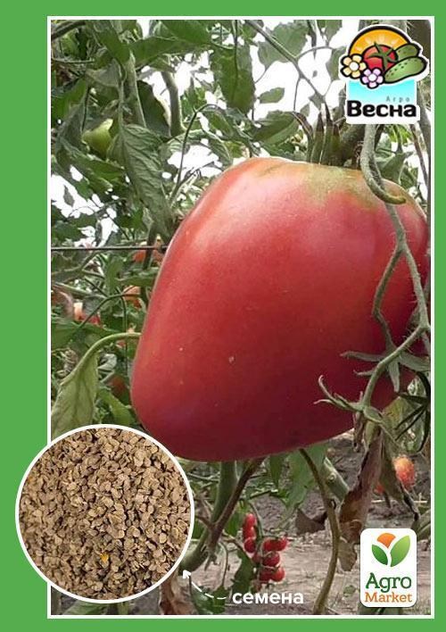Томат "Гібрид Тарасенко-2 рожевий" ТМ "Весна" 0.1г
