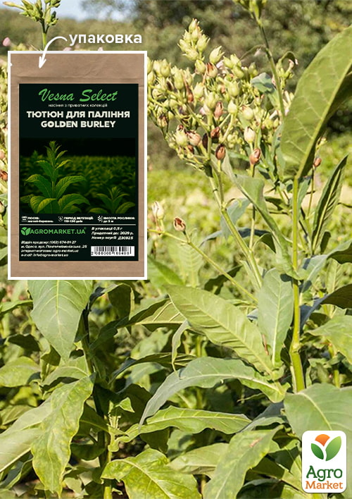 Семена Табак курительный "Golden Burley" ТМ "Vesna Select" 0.5г