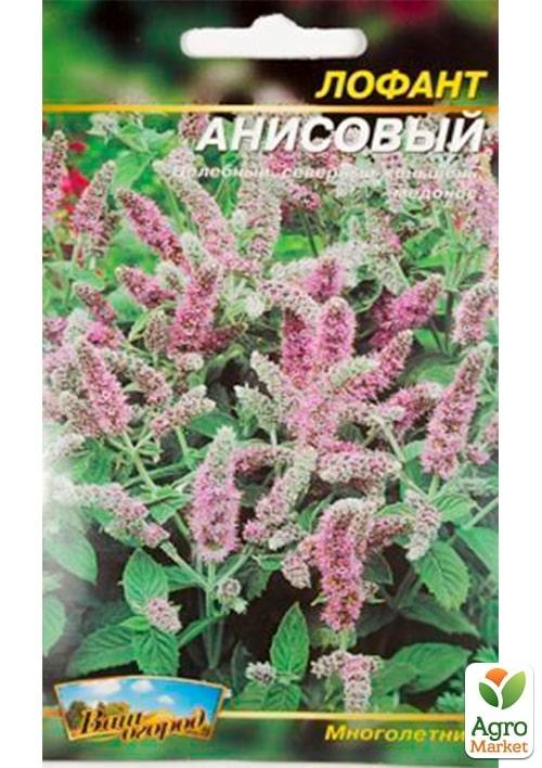 Лофант анісовий ТМ "Весна" 0.2г - фото 2