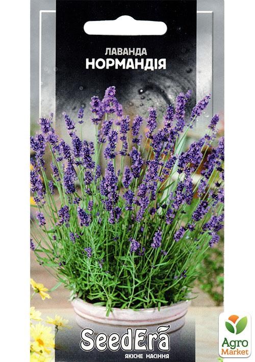 Лаванда многолетняя "Нормандия" ТМ "SeedEra" 0,1 NEW