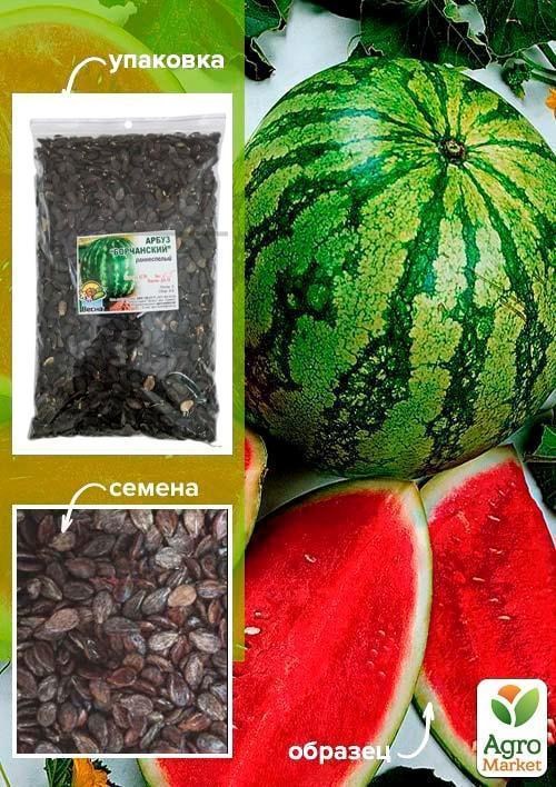 Кавун "Борчанський" ТМ "Весна" 500г