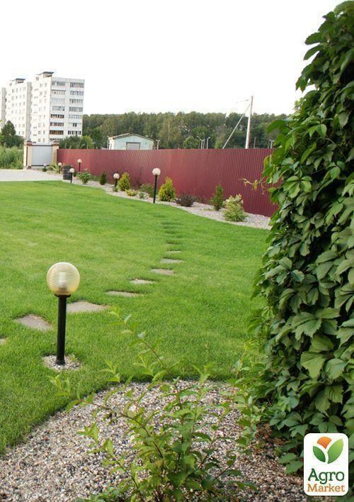 Газонна травосуміш "Ліліпут" ТМ "Сімейний сад" 400г  - фото 2