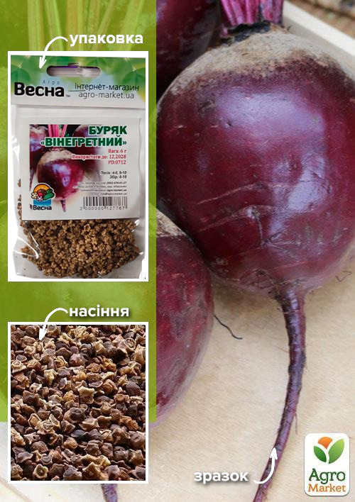 Свекла "Винегретная" (Зипер) ТМ "Весна" 6г