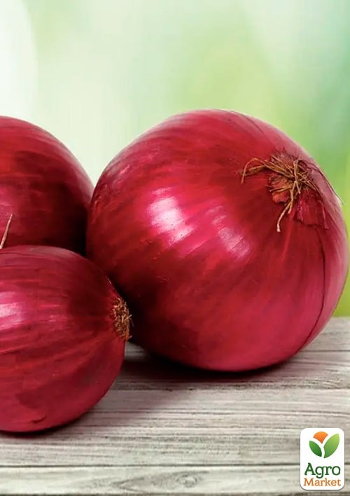 Лук "Веселка" (Зипер) ТМ "Весна" 3г - фото 2