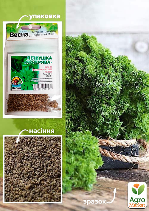 Петрушка кучерява (Зипер) ТМ "Весна" 3г