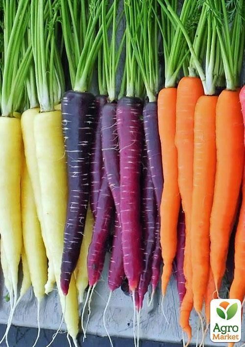Морква "Веселка" ТМ "Vesna Exclusive" 40шт - фото 2