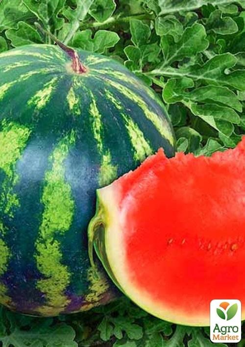 Арбуз "Крымсон Свит" ТМ "Lark Seeds" 0,5кг