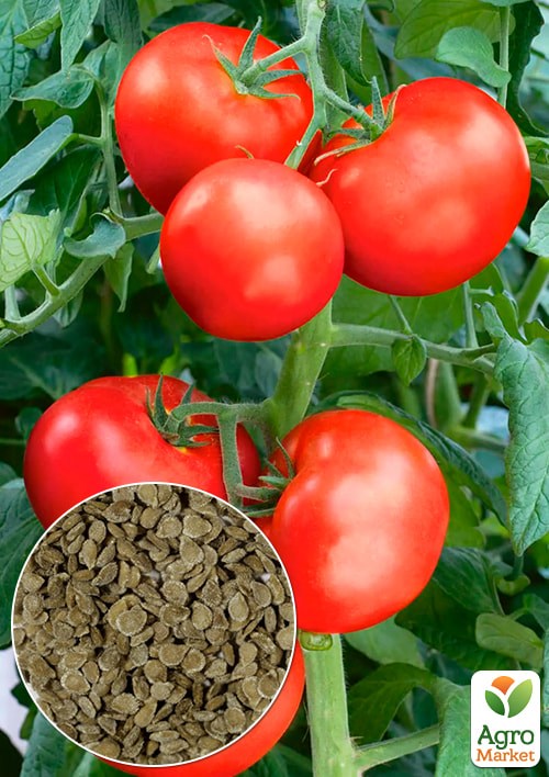 На развес Томат "Бонония" ТМ "Весна" цена за 1г