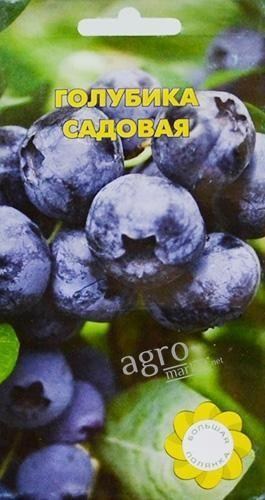 Голубика садовая ТМ "Большая полянка" 10шт