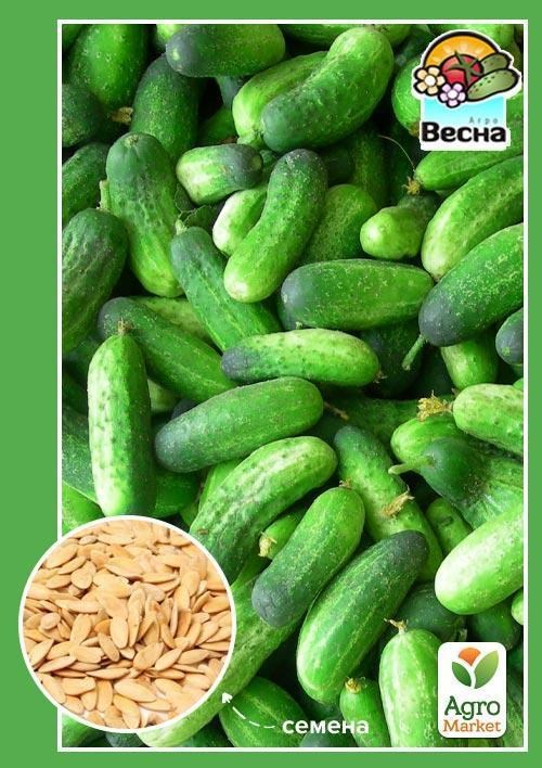 Огірок "Бочковий F1" (Новий пакет) ТМ "Весна" 0.25г
