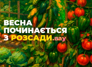 Розсада відкрита у передзамовлення