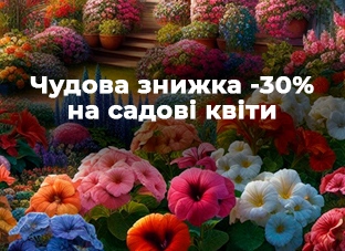 Чудова знижка -30% на садові квіти!