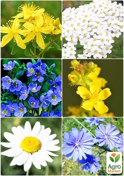 Набор лекарственных трав "Желудочный" ТМ "Vesna Select" 0,7г