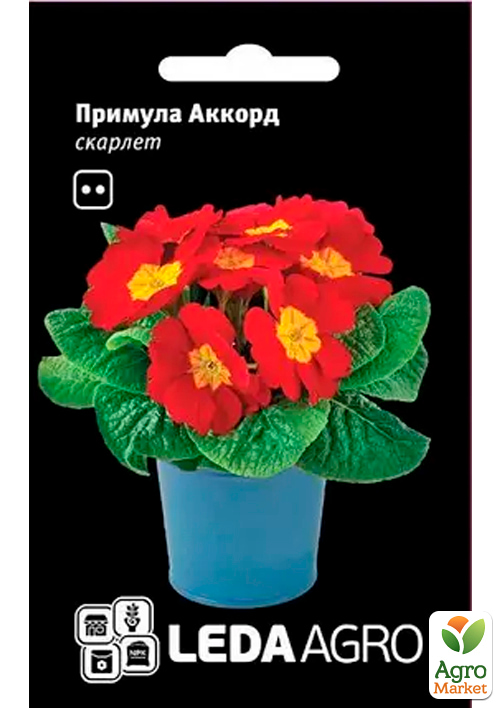 Примула "Аккорд" скарлет ТМ "Leda Agro" 10шт