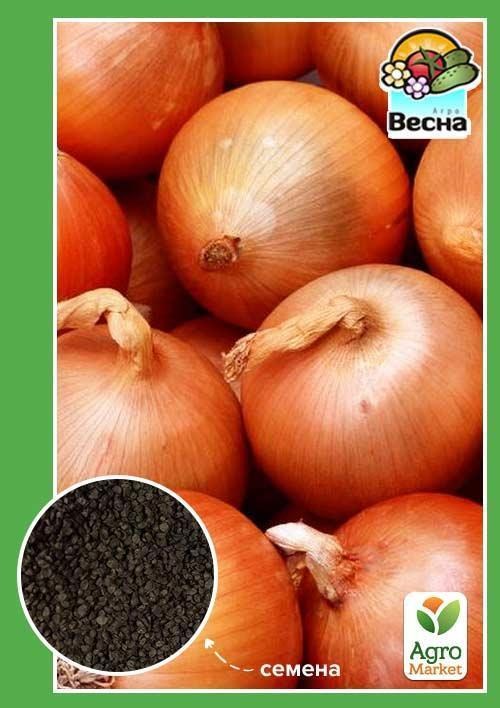 Лук "Каратальский" ТМ "Весна" 2г