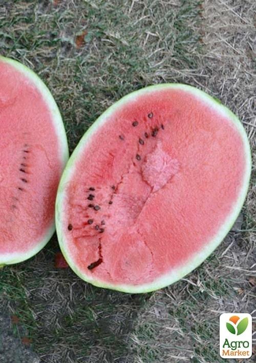 Арбуз "Бютифул F1" ТМ "Lark Seeds" 1000шт