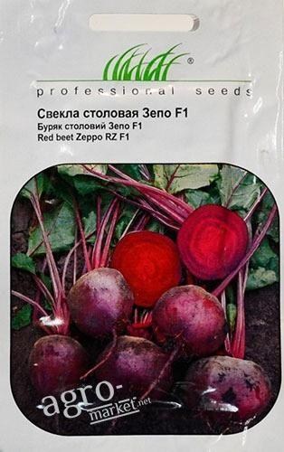 Буряк "Зепо F1" ТМ "Hem Zaden" 750шт