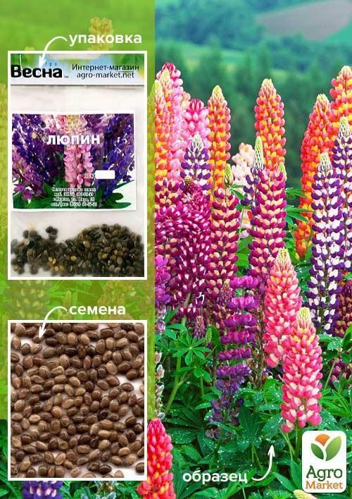 Люпин "Суміш" (зипер) ТМ "Весна" 1г
