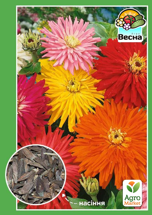 Цинния "Кактусоцветные гиганты" ТМ "Весна" 0.4г